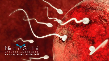 infertilità dott nicola ghidini urologo