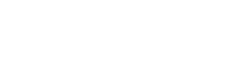 nicola ghidini logo